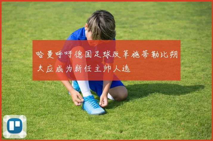 哈曼呼吁德国足球改革施蒂勒比朔夫应成为新任主帅人选