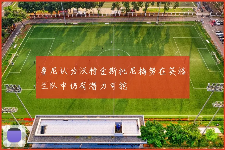 鲁尼认为沃特金斯托尼梅努在英格兰队中仍有潜力可挖
