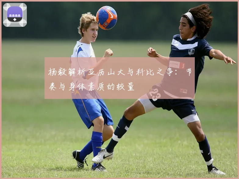 杨毅解析亚历山大与科比之争：节奏与身体素质的较量